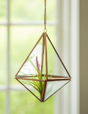 STEEL /GLASS Hanging Terrarium, Size : 4