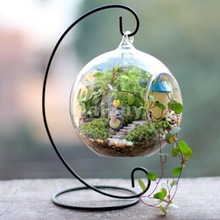 Hanging Terrarium