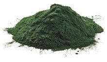 Spirulina Powder