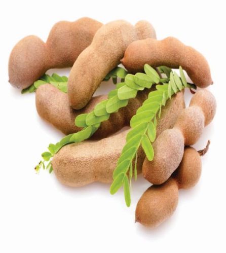 Tamarind, Packaging Size : 500 / 1000 Grams