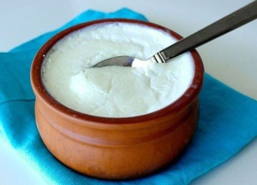 Fresh Curd, For Food, Form : Liquid