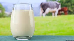 Fresh Milk, For Baking, Beverages, Skin, Digestion, Restaurant