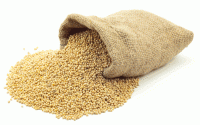 Millet, Packaging Size : 5-10kg