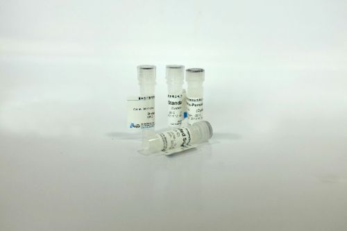 Monoclonal Antibodies, For Research Use Only