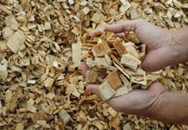 Wood Pulp