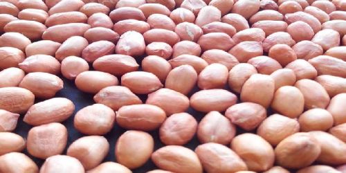 Organic Groundnut Kernel