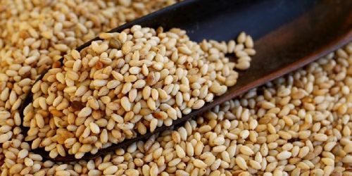 Sesame seed, Packaging Size : 100gm, 10kg, 1kg, 25kg, 50gm