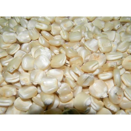 Organic White Maize, For Making Popcorns