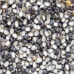 Organic Urad Dal, Style : Dried