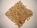 Seeds White Pepper