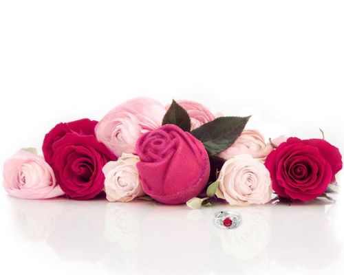 Natural Fresh Colored Rose Flowers, For Decoration