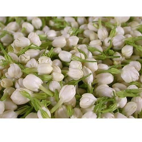 Fresh Mullai Flowers, Color : White