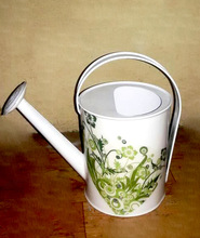 Metal Watering Can