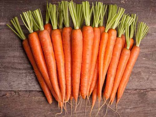 Natural Fresh Carrot, For Juice, Pickle, Taste : Sweet