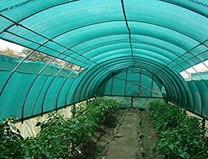 HDPE Plastic Agro Shade Net, Length : 25/50 Mtr