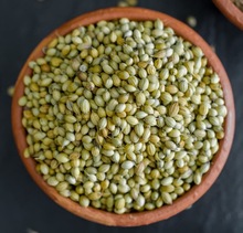 Coriander Seed