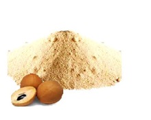 Dried Chikoo Powder Fruit Powder