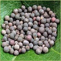 EMBELIA RIBES SEEDS POWDER