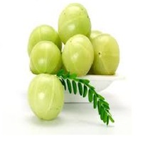 GOOSEBERRY EXTRACT