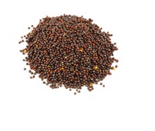 Mustard Seed