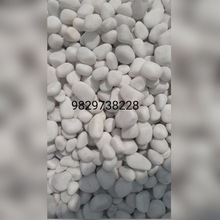 Natural White River Pebble, Shape : Round