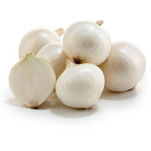 Fresh White Onion, For Cooking, Size : Large, Medium, Small