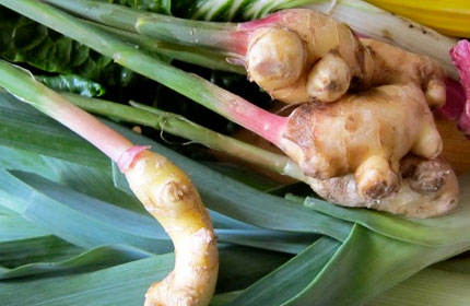 Fresh Ginger