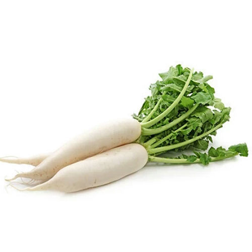 White Radish