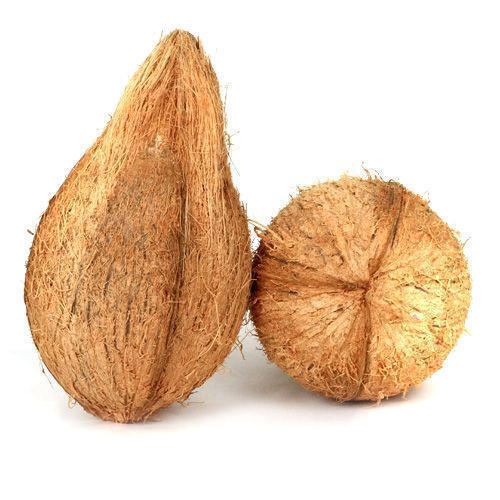 Common Husked Coconuts, Color : Brown