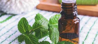 Peppermint Oil, For Infections, Stomach Issue, Form : Liquid