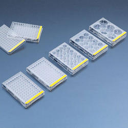 Tissue Culture Multi Well Plates, Color : Transparent