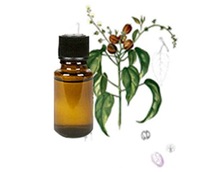 Croton Essential Oil