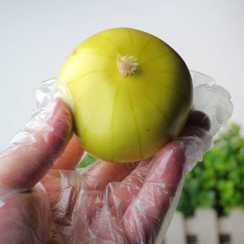 PE Gloves Disposable, For Beauty Salon, Cleaning, Examination, Food Service, Light Industry