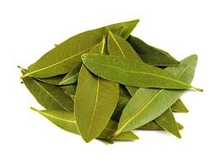 Bay Leaves, Style : Dried