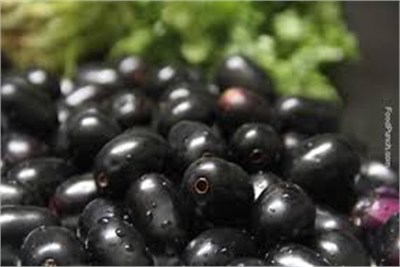 Fresh Jamun, Purity : 100%