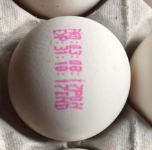 Chicken Egg, Color : White