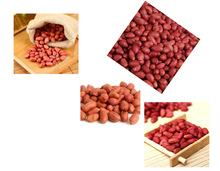 Red Skin Peanut