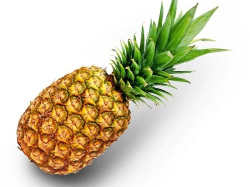 Fresh Pineapple, Color : Golden Yellow