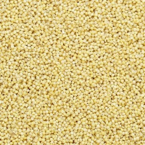 Inorganic Saamai Millet