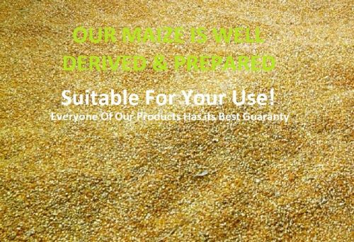 Yellow corn, Storage : Cool, Dry Place