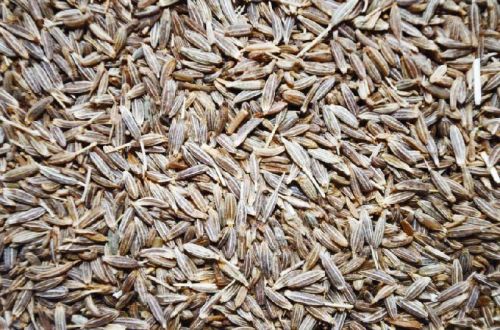 Cumin seeds, Type :Natural