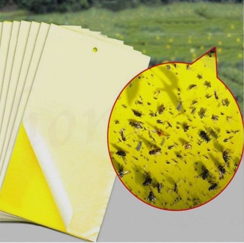 PP+glue+release paper 20cm30cm Yellow Insect Sticky Trap 20cm*30cm