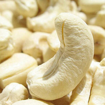 Cashew nuts, Taste : Light Sweet