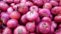 Organic Fresh Red Onion, For Human Consumption, Packaging Size : 10kg, 20, 25kg