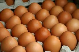 Best Quality Fresh Chicken Table Eggs & Fertilized Hatching Eggs At Affordable Prices