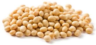 Organic Soybeans Seeds, Packaging Type : Pp Bags