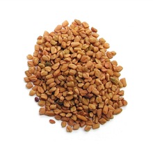 Fenugreek Seed Oil