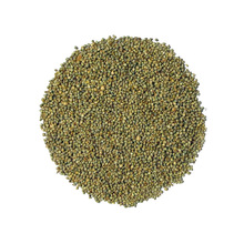 Machine Cleaned Common Green MILLET,green Millet, Style : Dried