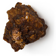 Myrrh Resinoid Essential Oil