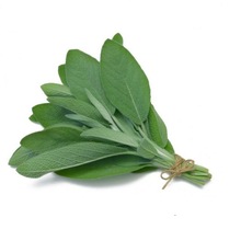 Sage Essential Oil